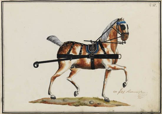 (HORSES.) Pferde Geschier Muster [spine title on case]. Two booklets of watercolor drawings of horses in bridles and harnesses. 18th ct